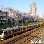 東中野の桜並木とJR中央線