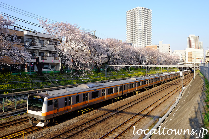 東中野の桜並木とJR中央線